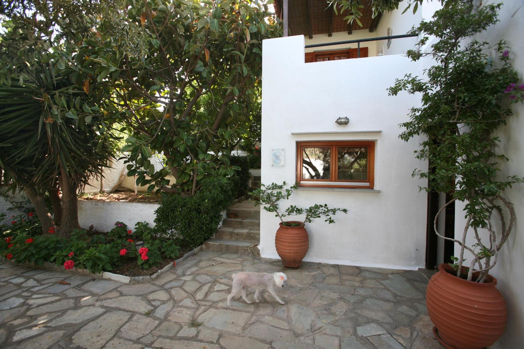 Anemoesa Apartamento Batsi  Exterior foto